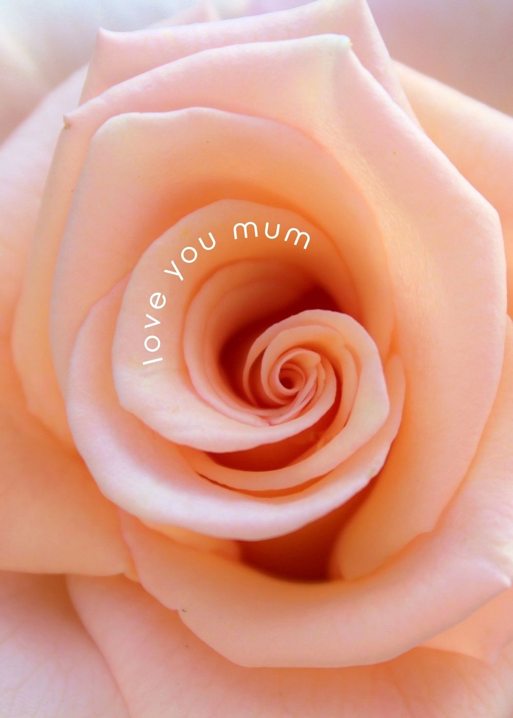 Love You Mum Greeting Card by Mrs V – Heartwarming Mother's Day Card