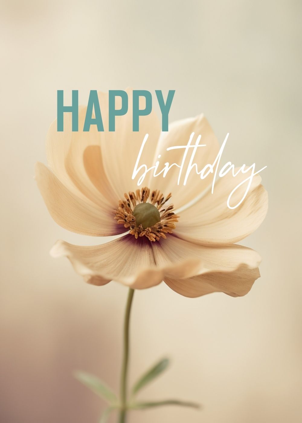 Happy Birthday Greeting Card by Mrs V – Celebrate Birthdays with Joy