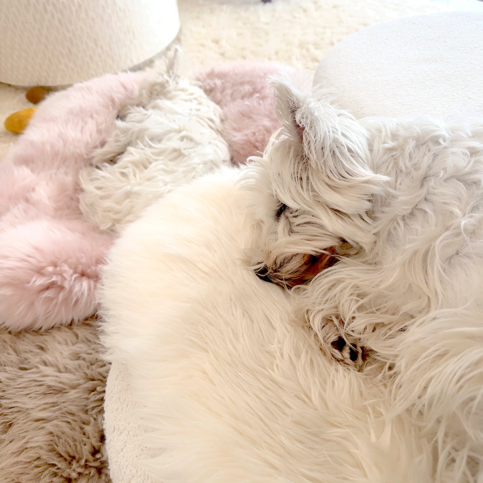 Sheepskin Rug Merino