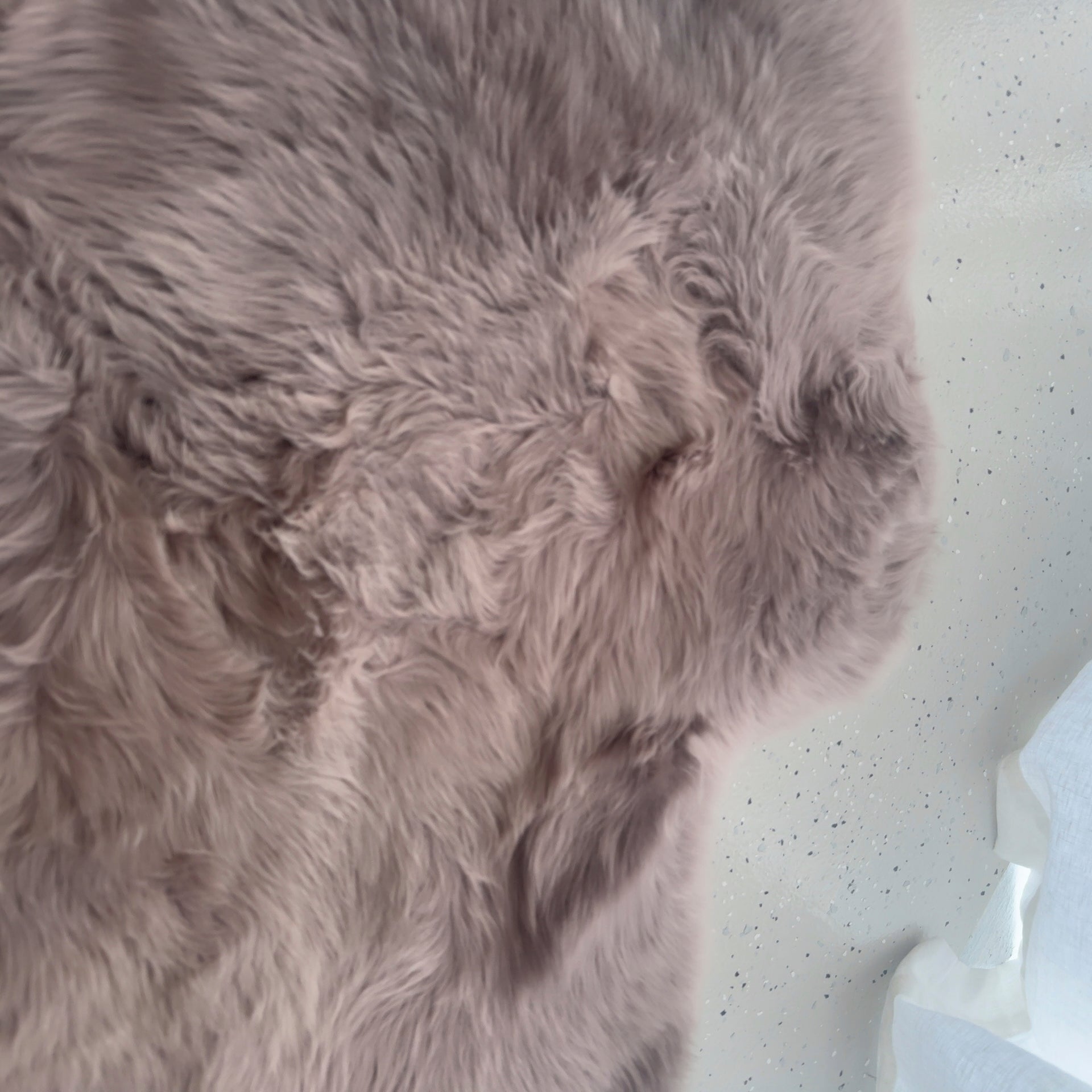 Sheepskin Rug Merino