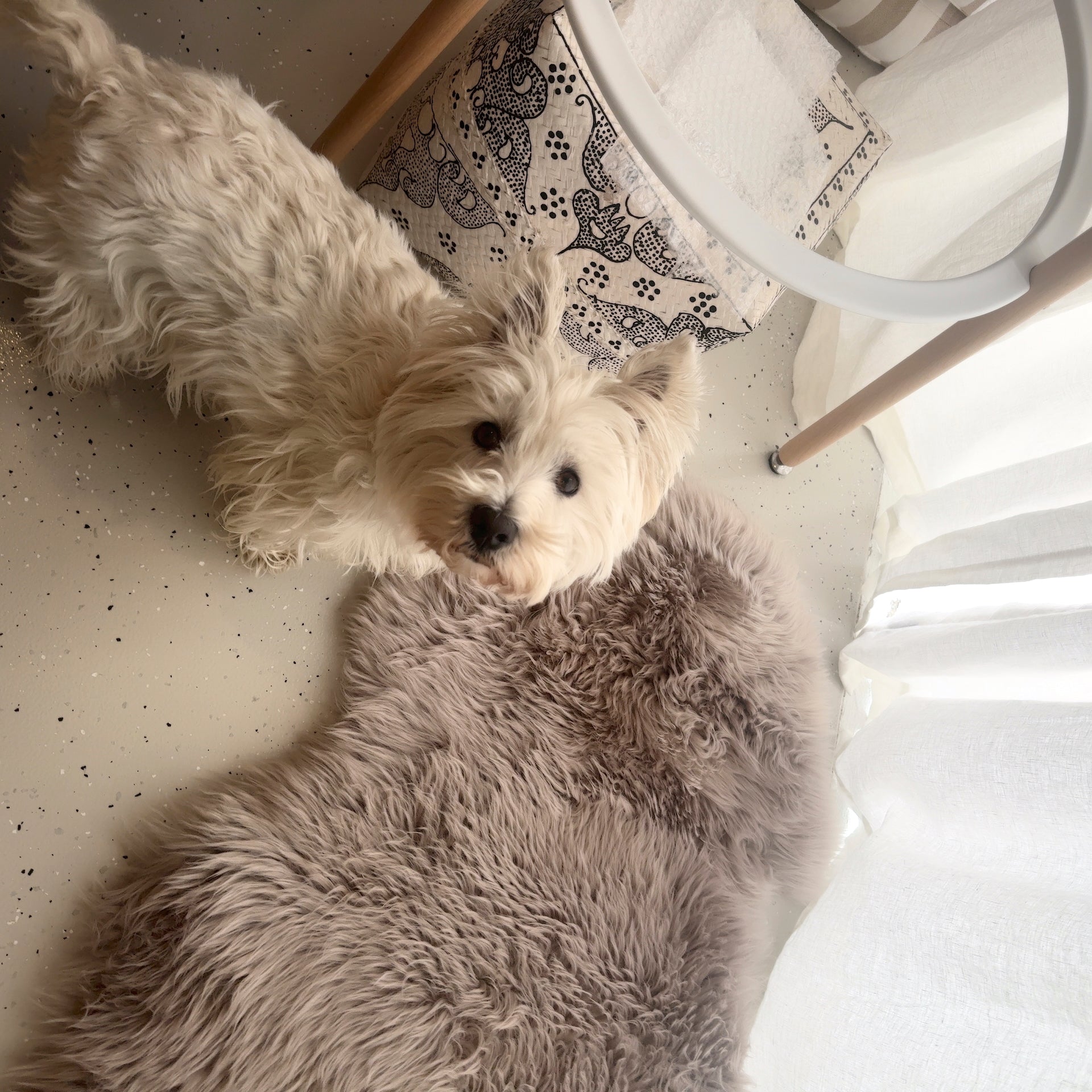 Sheepskin Rug Merino