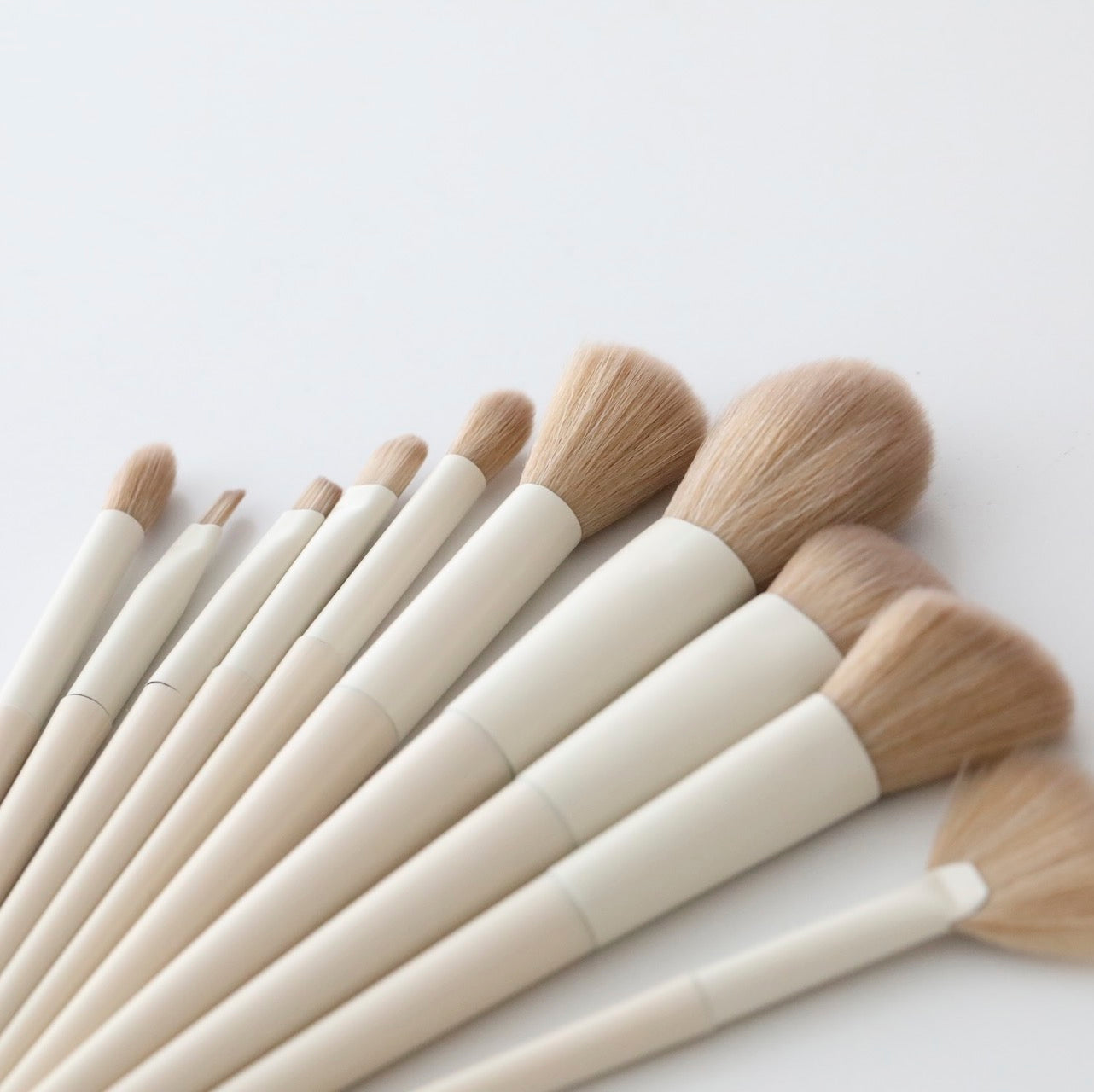 Makeup Brush Kit