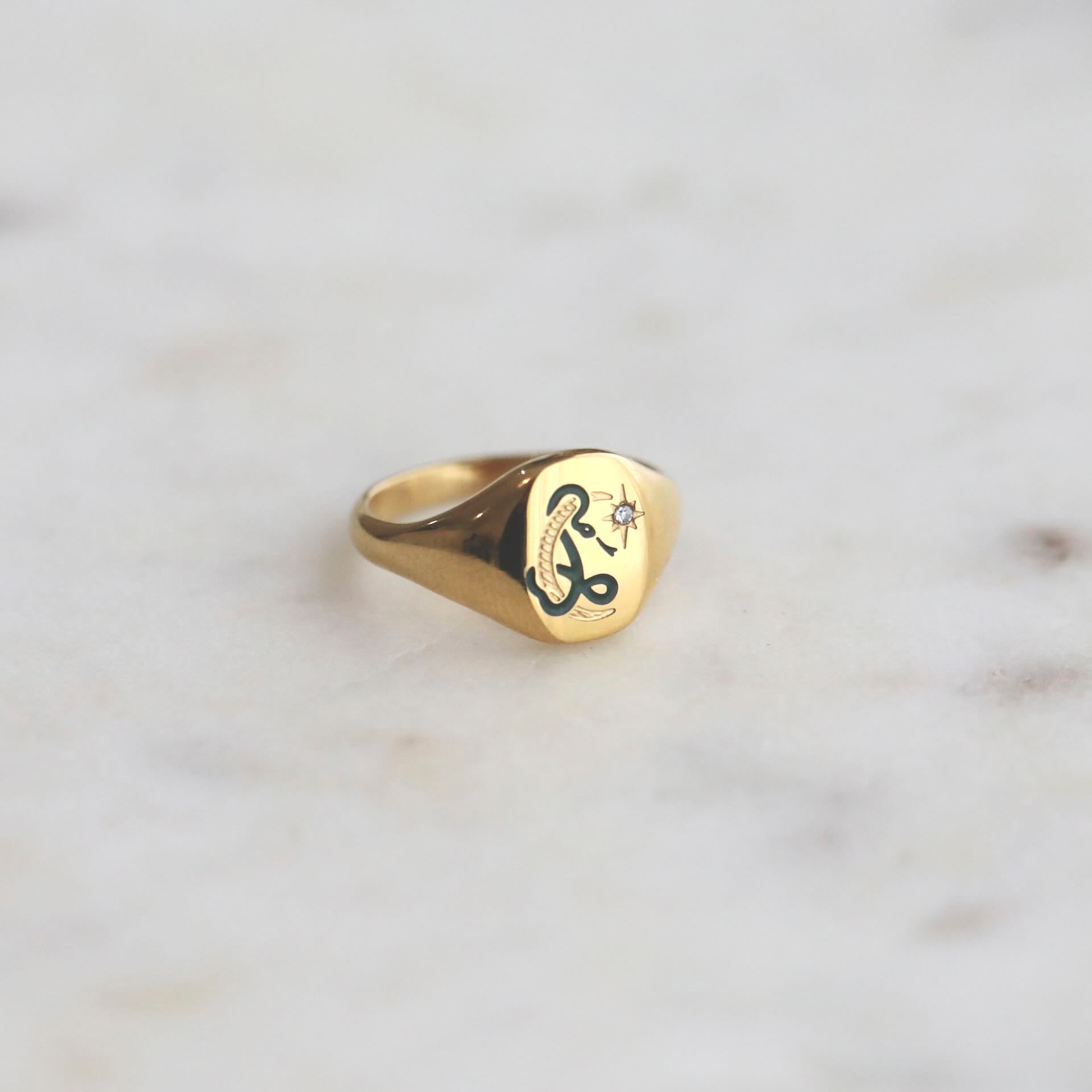 Close-up of Snake Design in Signet Picture Rings by Mrs V