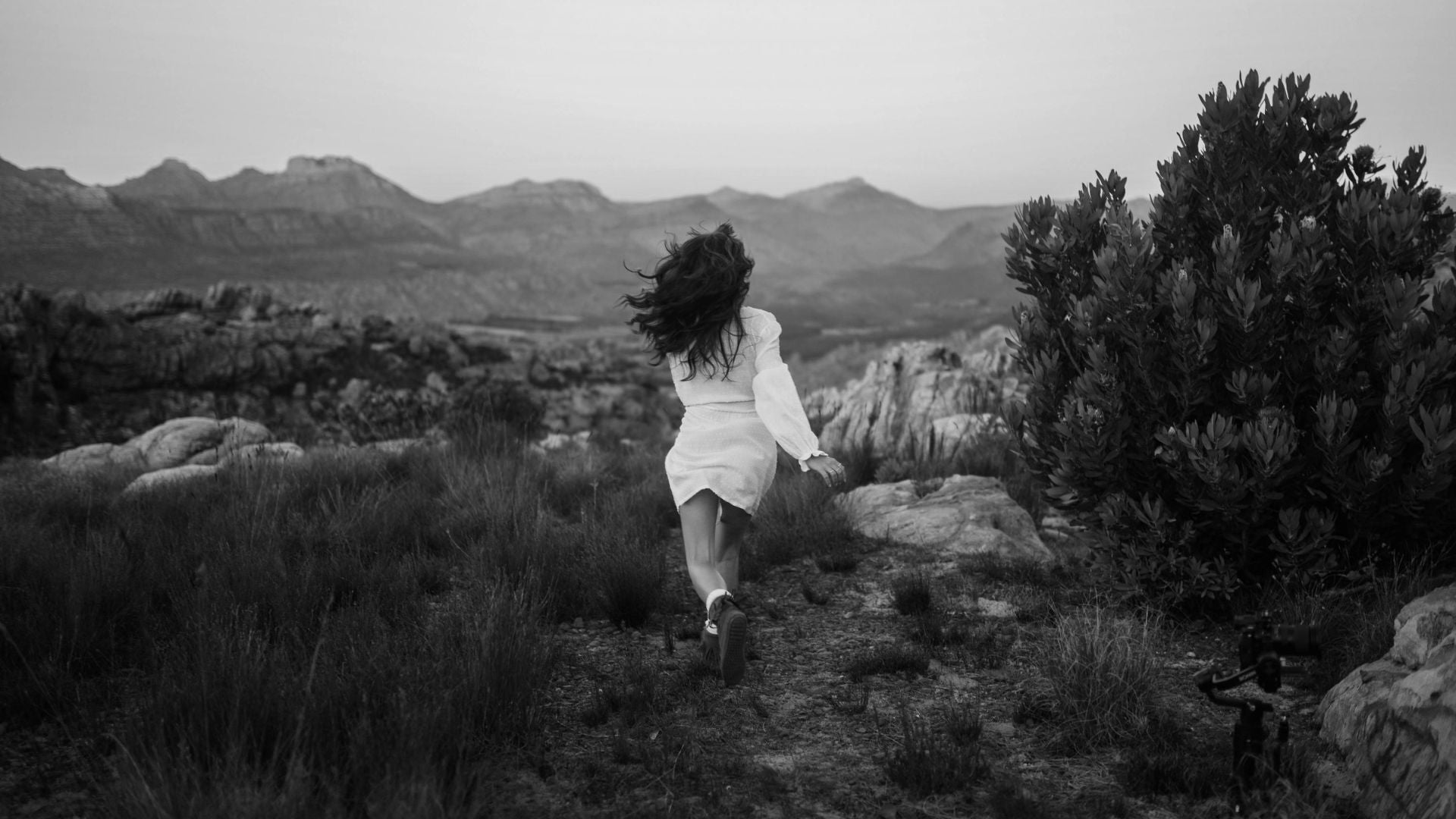 The Highland Woman