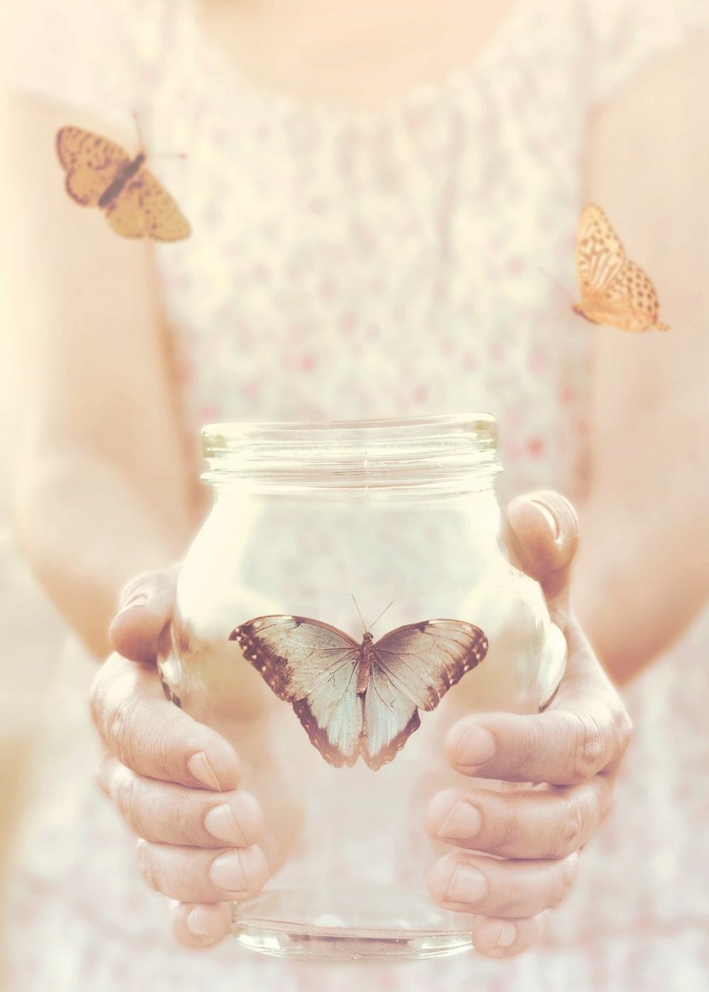 Butterfly Greeting Card by Mrs V – Delicate and Beautiful