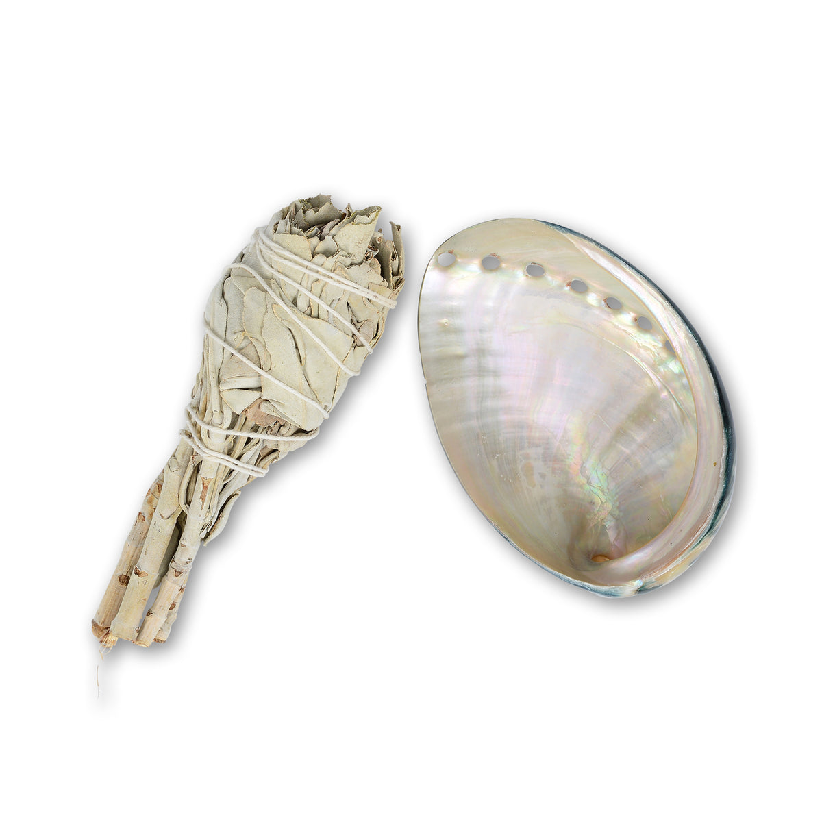Abalone Shell & Sage Stick | Ancient Clearing Tool | MRS V